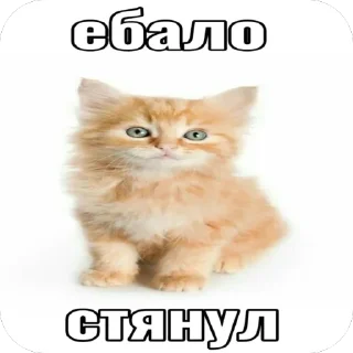 Sticker from romka & matvey