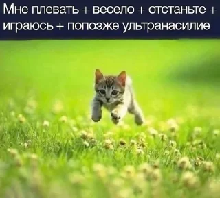 🌟 emoji блин я такой глупый класс Telegram sticker 5 of 77