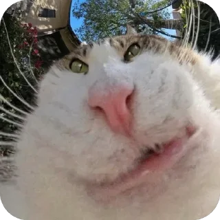 🤨 emoji для важных переговоров🤡 Telegram sticker 2 of 105