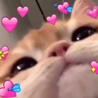 💝 emoji для важных переговоров🤡 Telegram sticker 5 of 105