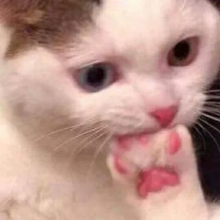 😶 emoji для важных переговоров🤡 Telegram sticker 12 of 105