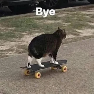 🖕 emoji для важных переговоров🤡 Telegram sticker 19 of 105