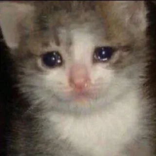 🥺 emoji для важных переговоров🤡 Telegram sticker 9 of 105