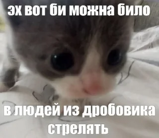 🤩 emoji Автор @YutaSeto Telegram sticker 15 of 54