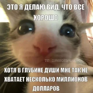 🤩 emoji Автор @YutaSeto Telegram sticker 23 of 54