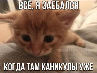 🤩 emoji Автор @YutaSeto Telegram sticker 3 of 54