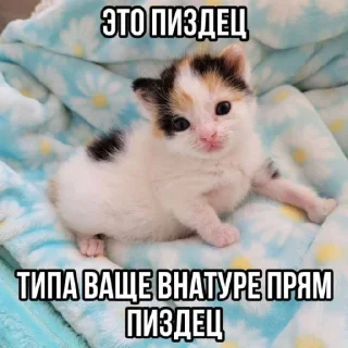🤩 emoji Автор @YutaSeto Telegram sticker 22 of 54