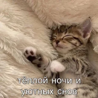 🤩 emoji Автор @YutaSeto Telegram sticker 1 of 54