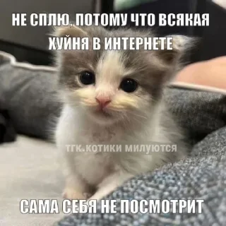 🤩 emoji Автор @YutaSeto Telegram sticker 24 of 54