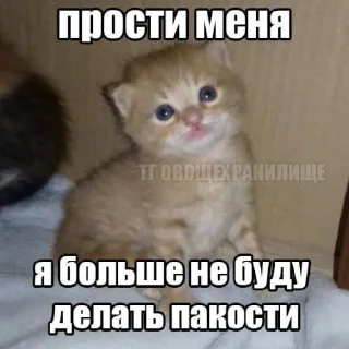 🤩 emoji Автор @YutaSeto Telegram sticker 16 of 54
