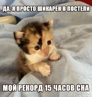 🤩 emoji Автор @YutaSeto Telegram sticker 14 of 54