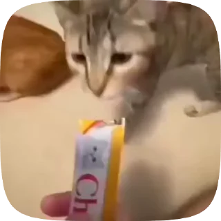 Sticker from Рандом видео