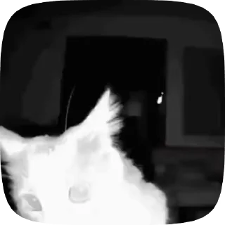 Sticker from Рандом видео