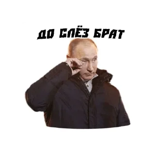 😄 emoji ПУТИН ЛЮБИМЧИК СОРТА,ОК? Telegram sticker 3 of 13