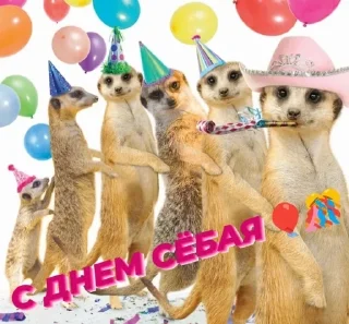 Sticker from Джалилово ай уй