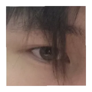 👁️ emoji Kchau wkwkwkwkwk Telegram sticker 1 of 42