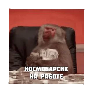 Sticker from Космобарсик монке