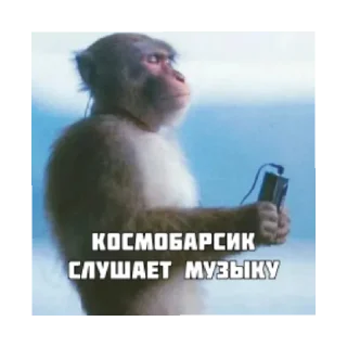 Sticker from Космобарсик монке