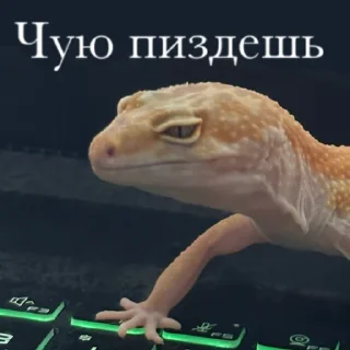 🧐 emoji -ТАРХУН- (ящерка скерцо) Telegram sticker 5 of 7