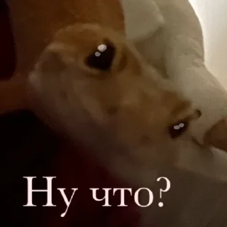 🥹 emoji -ТАРХУН- (ящерка скерцо) Telegram sticker 7 of 7