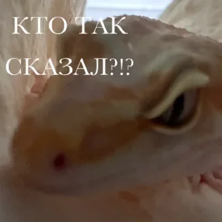👹 emoji -ТАРХУН- (ящерка скерцо) Telegram sticker 4 of 7