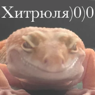 😏 emoji -ТАРХУН- (ящерка скерцо) Telegram sticker 6 of 7
