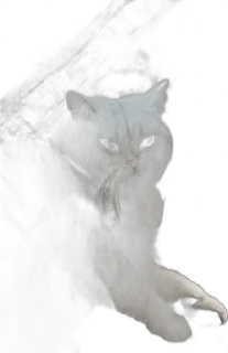 Sticker from cats mood