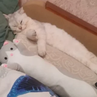 Sticker from cats mood