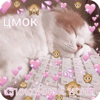 ⏰ emoji chио🐇🍮 mіo😗🐛@podvinsyaliltbeee Telegram sticker 21 of 120