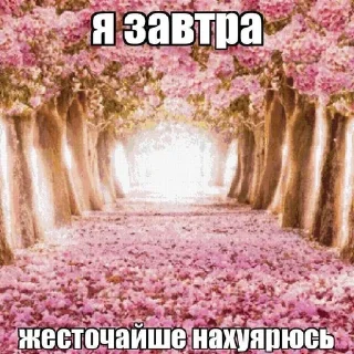 🌟 emoji Житуха Telegram sticker 2 of 48