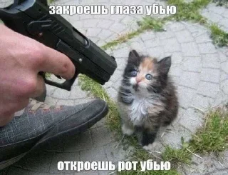 🌟 emoji Житуха Telegram sticker 6 of 48