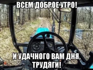 🌟 emoji Житуха Telegram sticker 11 of 48