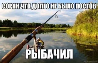 🌟 emoji Житуха Telegram sticker 23 of 48