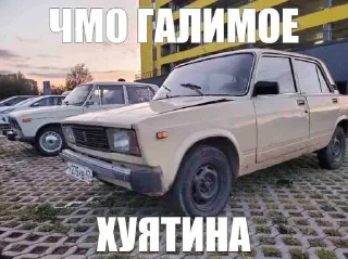 🌟 emoji Житуха Telegram sticker 14 of 48