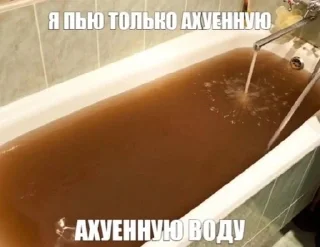 🌟 emoji Житуха Telegram sticker 24 of 48
