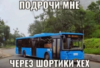 🌟 emoji Житуха Telegram sticker 18 of 48