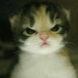 😡 emoji член партії регіонів Telegram sticker 10 of 70