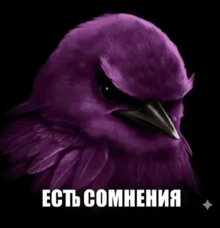 Sticker from птiчка 🦚🦤малахiтовая🦚🦚