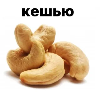 🥜 emoji тутвсёпонятно Telegram sticker 13 of 35
