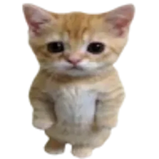 Sticker from Котики