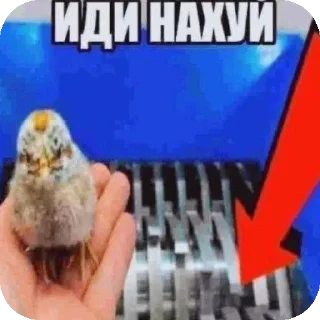 Sticker from пидорас