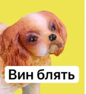 Sticker from От горького меня торчит