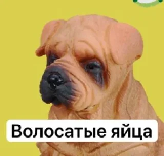Sticker from От горького меня торчит