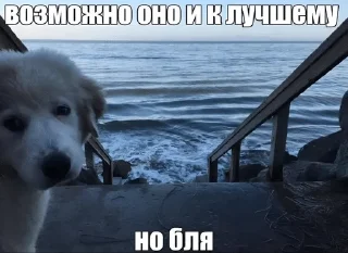 Sticker from Смешнявки
