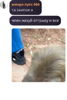 Sticker from Чатек макак🐒 pack by @QuotLyBot