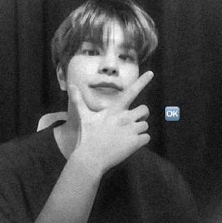 ❤️ emoji seungmin @slavanyavgn Telegram sticker 16 of 24