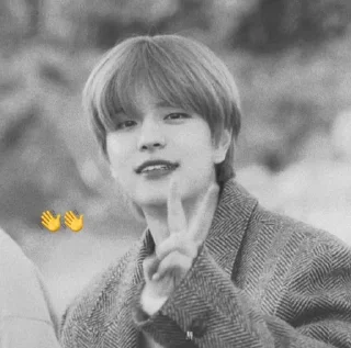 ❤️ emoji seungmin @slavanyavgn Telegram sticker 2 of 24