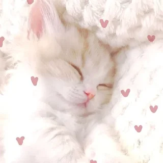 Sticker from Дарина моя жена💋