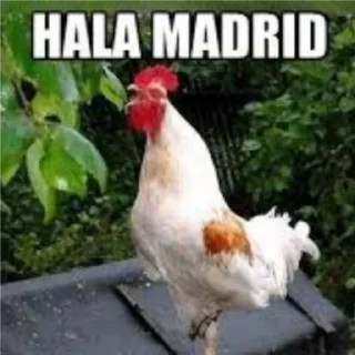💩 emoji PUTA MADRID Telegram sticker 4 of 11