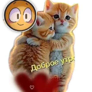 Sticker from Животные